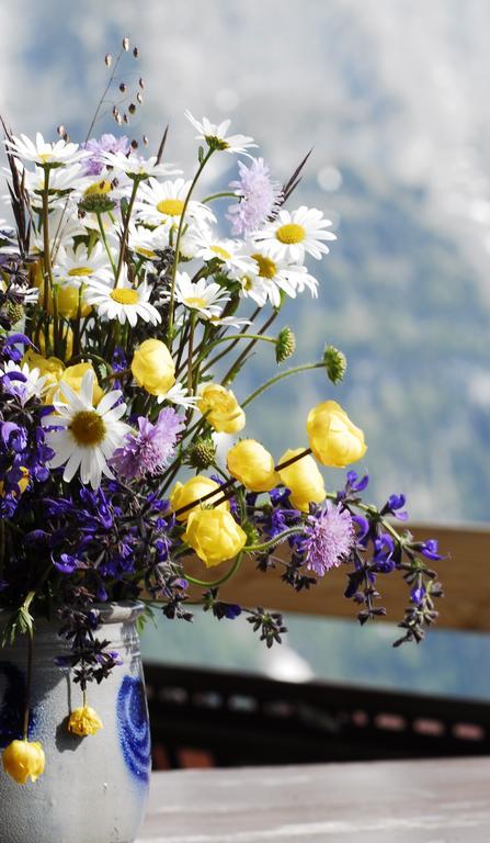Alpinhotel Bort Grindelwald Dış mekan fotoğraf