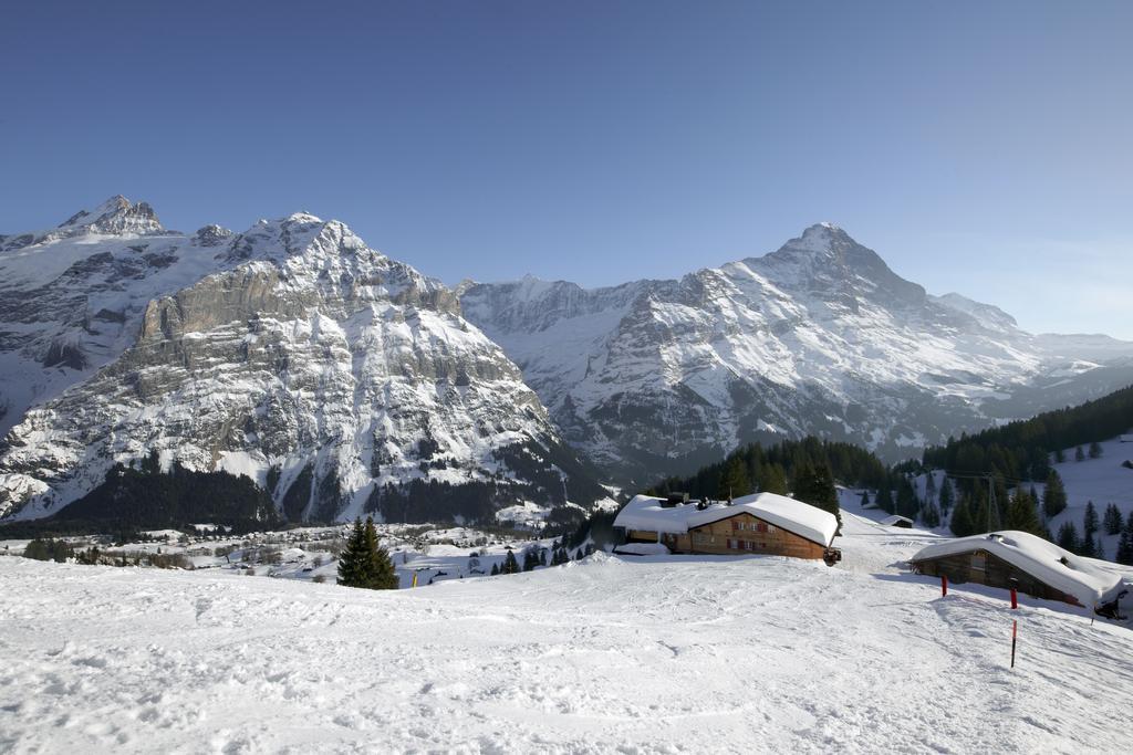 Alpinhotel Bort Grindelwald Dış mekan fotoğraf