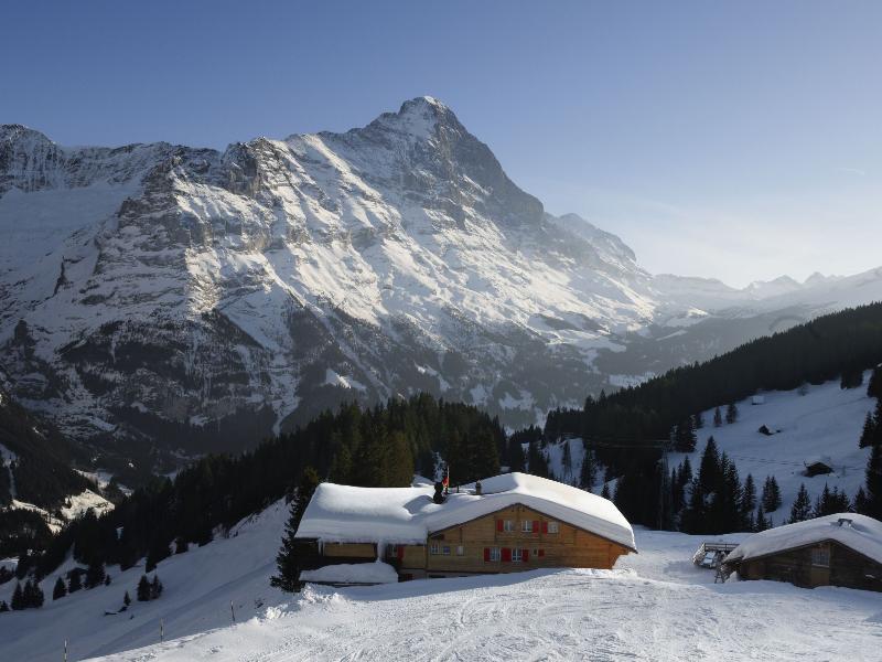 Alpinhotel Bort Grindelwald Dış mekan fotoğraf