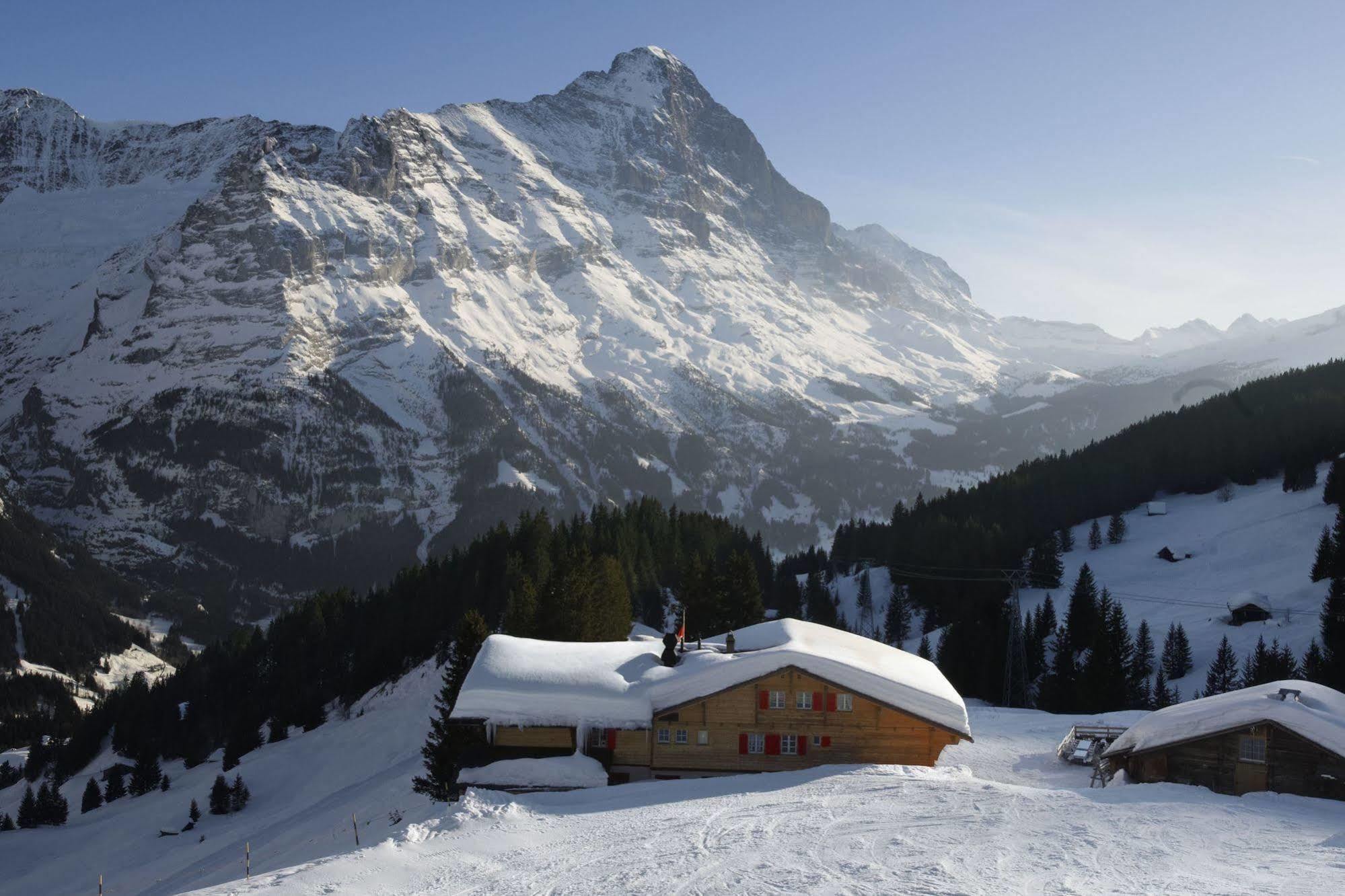 Alpinhotel Bort Grindelwald Dış mekan fotoğraf