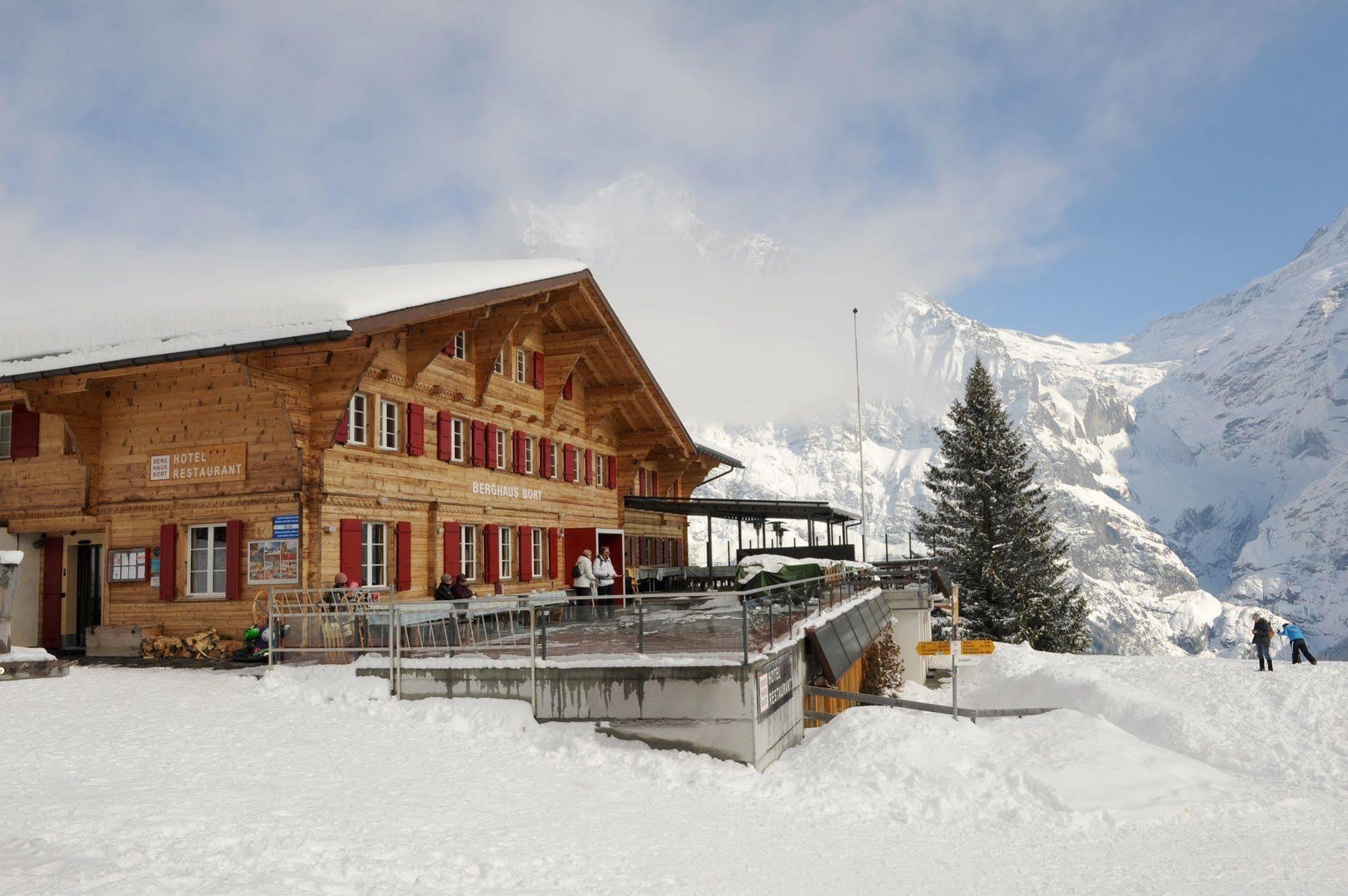 Alpinhotel Bort Grindelwald Dış mekan fotoğraf