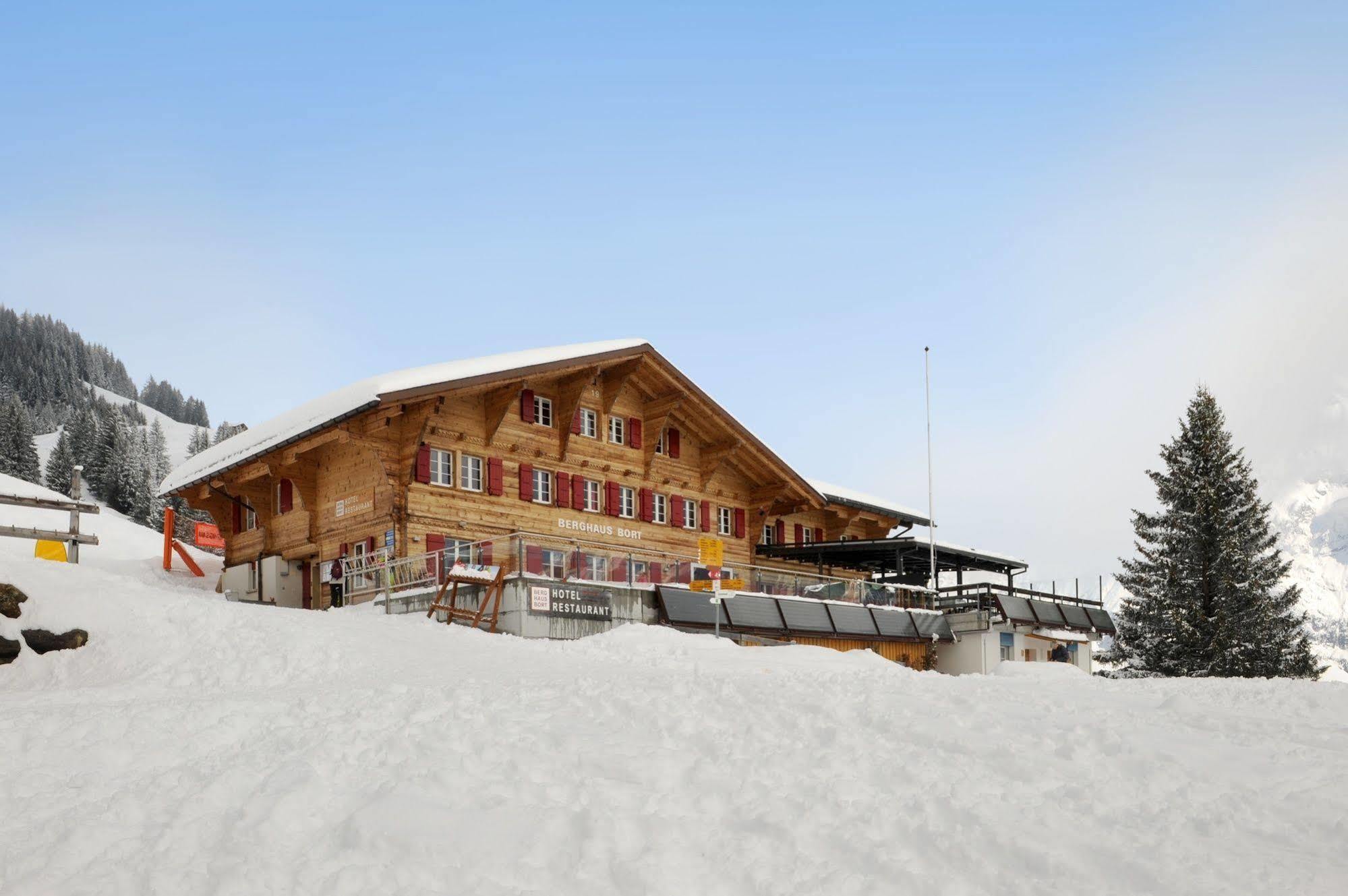 Alpinhotel Bort Grindelwald Dış mekan fotoğraf