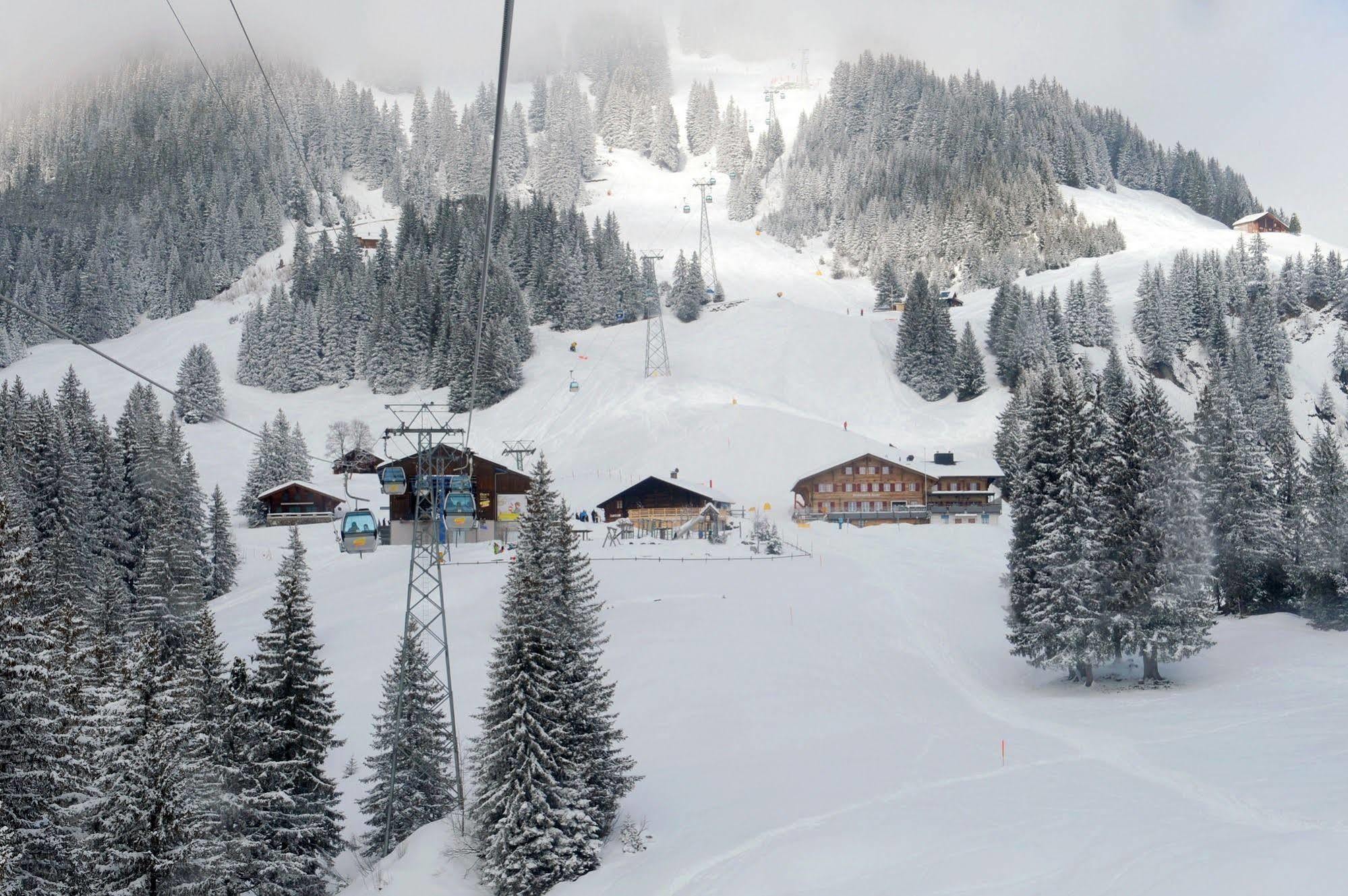 Alpinhotel Bort Grindelwald Dış mekan fotoğraf